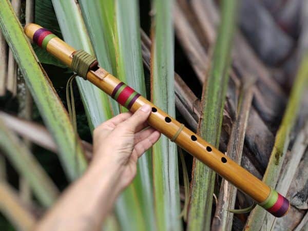 Flauta Nativa Ashar 7